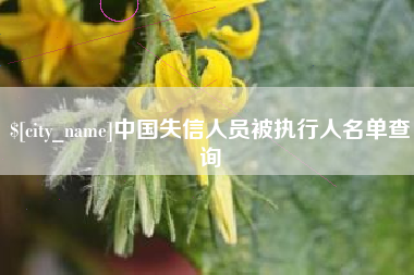 广元中国失信人员被执行人名单查询