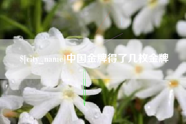 广元中国金牌得了几枚金牌