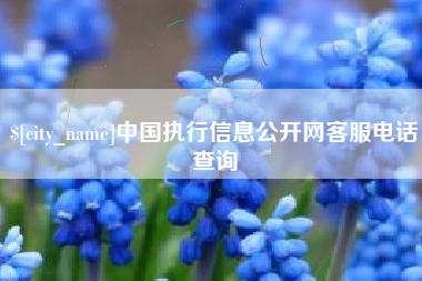 广元中国执行信息公开网客服电话查询