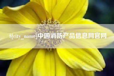 广元中国消防产品信息网官网