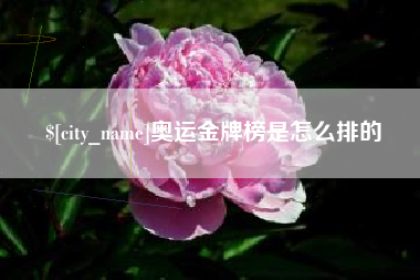 广元奥运金牌榜是怎么排的