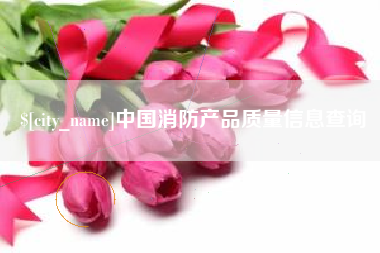 广元中国消防产品质量信息查询