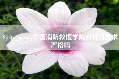 广元中国消防救援学院对视力要求严格吗