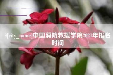 广元中国消防救援学院2021年报名时间