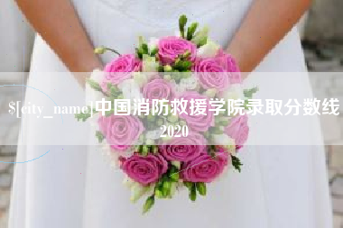 广元中国消防救援学院录取分数线2020