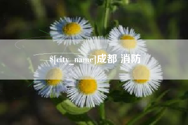广元成都 消防