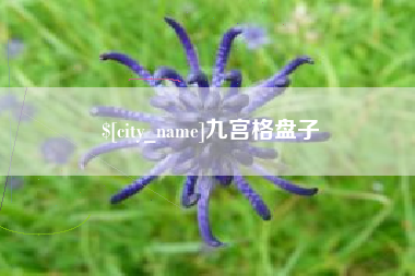 广元九宫格盘子