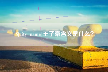 广元王子豪含义是什么？