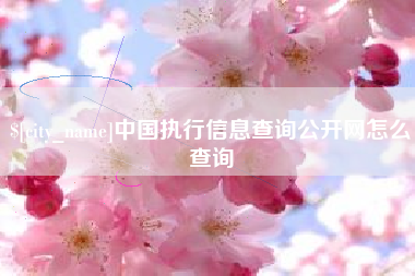 广元中国执行信息查询公开网怎么查询