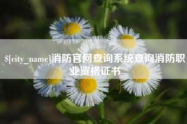 广元消防官网查询系统查询消防职业资格证书
