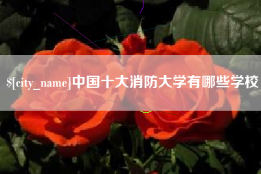 广元中国十大消防大学有哪些学校