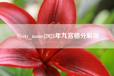 广元2021年九宫格分解图