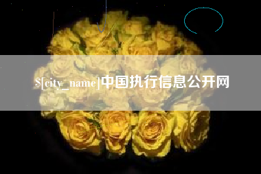 广元中国执行信息公开网