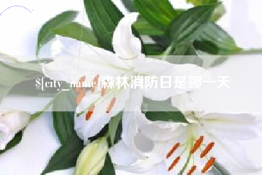 广元森林消防日是哪一天