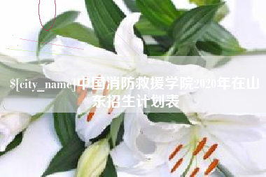 广元中国消防救援学院2020年在山东招生计划表