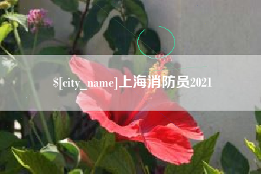 广元上海消防员2021