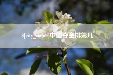广元中国夺金排第几
