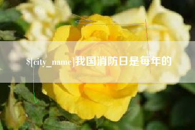 广元我国消防日是每年的