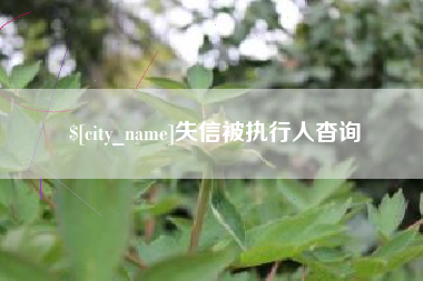 广元失信被执行人杳询