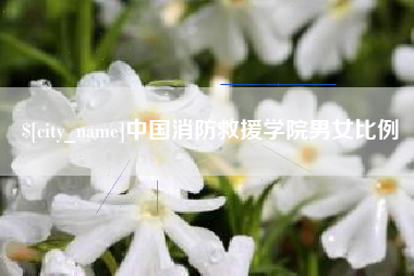 广元中国消防救援学院男女比例