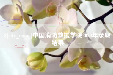 广元中国消防救援学院2020年录取结果