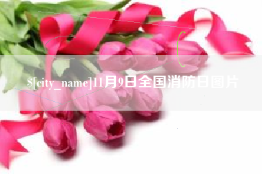 广元11月9日全国消防日图片