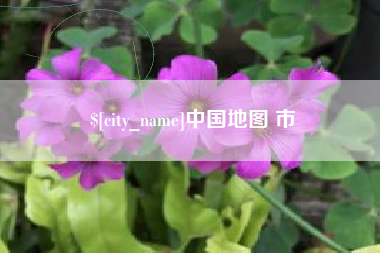 广元中国地图 市