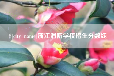 广元浙江消防学校招生分数线