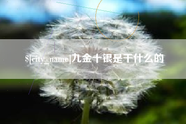 广元九金十银是干什么的