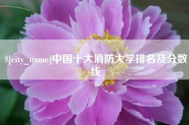 广元中国十大消防大学排名及分数线