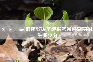 广元消防救援学院报考条件湖南招生多少分