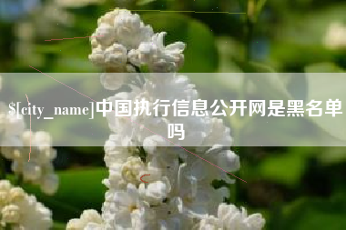 广元中国执行信息公开网是黑名单吗