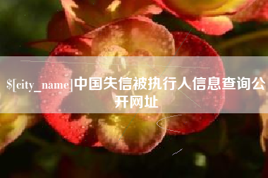 广元中国失信被执行人信息查询公开网址