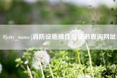 广元消防设施操作员证书查询网址