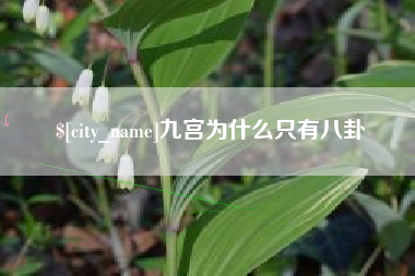 广元九宫为什么只有八卦