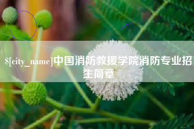 广元中国消防救援学院消防专业招生简章