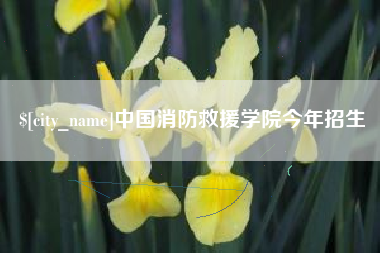 广元中国消防救援学院今年招生