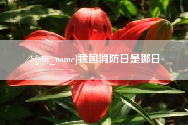 广元我国消防日是哪日
