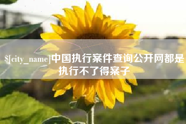 广元中国执行案件查询公开网都是执行不了得案子