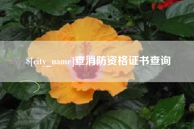 广元查消防资格证书查询