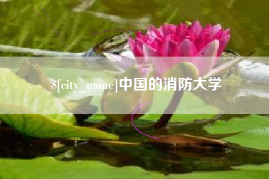 广元中国的消防大学
