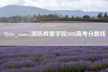 广元消防救援学院2020高考分数线