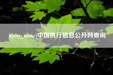 广元中国执行信息公开网查询