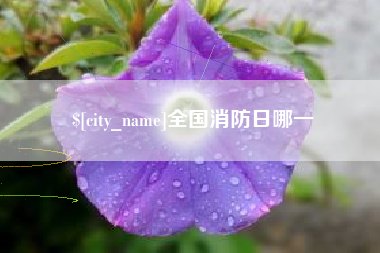 广元全国消防日哪一