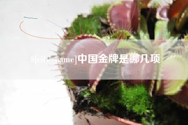 广元中国金牌是哪几项