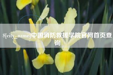 广元中国消防救援学院官网首页查询