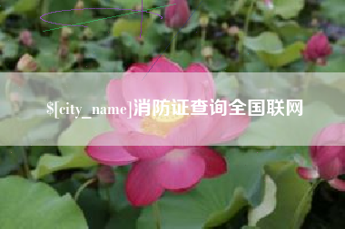 广元消防证查询全国联网
