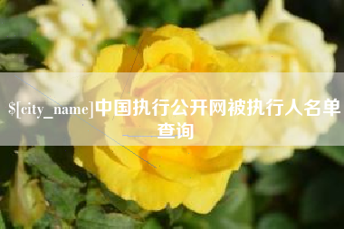 广元中国执行公开网被执行人名单查询