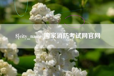 广元国家消防考试网官网