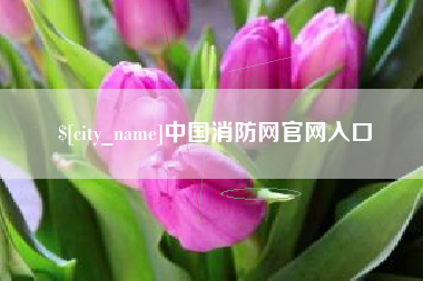 广元中国消防网官网入口